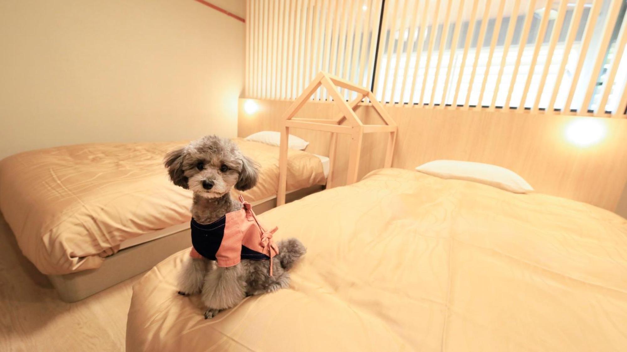 Yururi Nishiizu Hotel Izu  Bagian luar foto